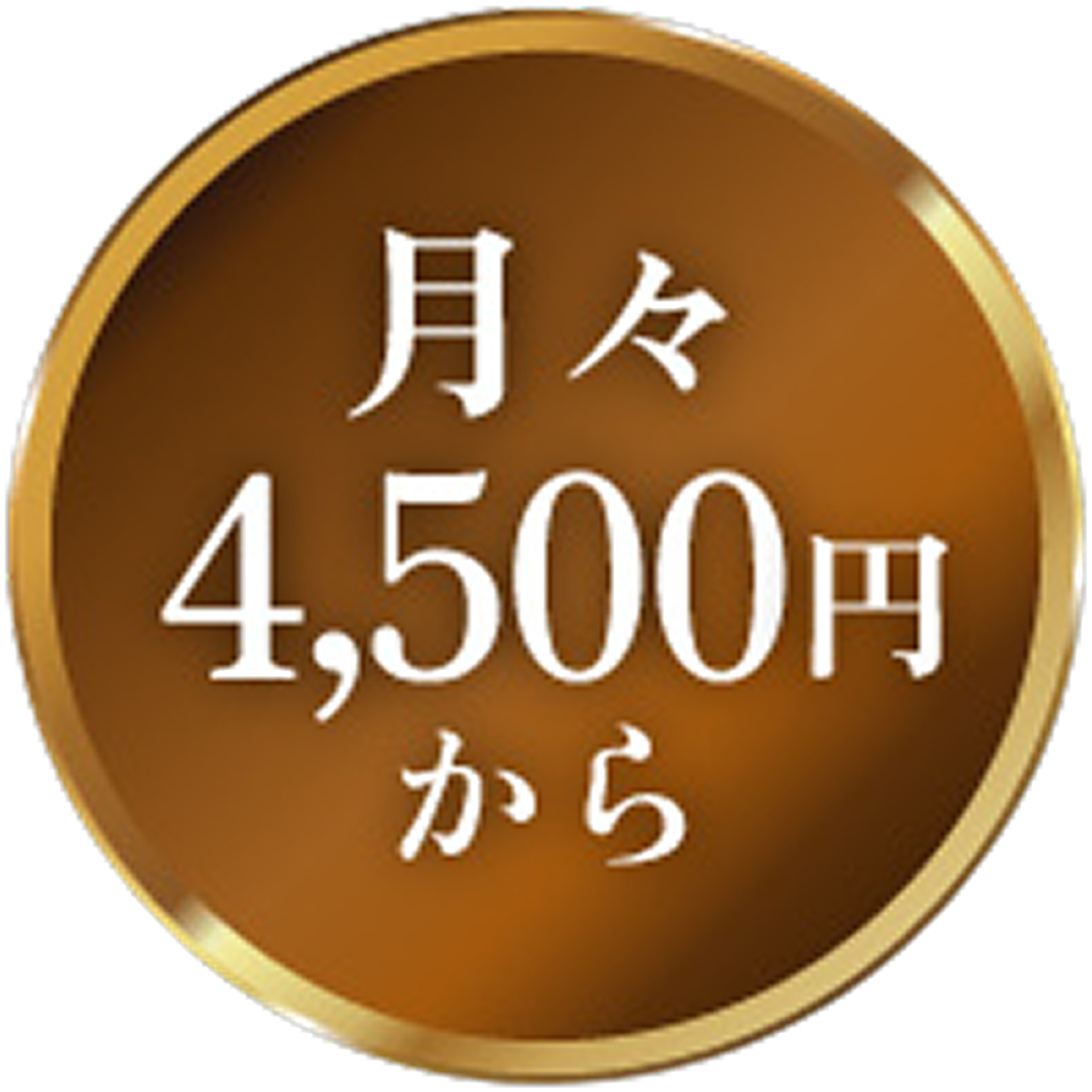 月々4,500円〜